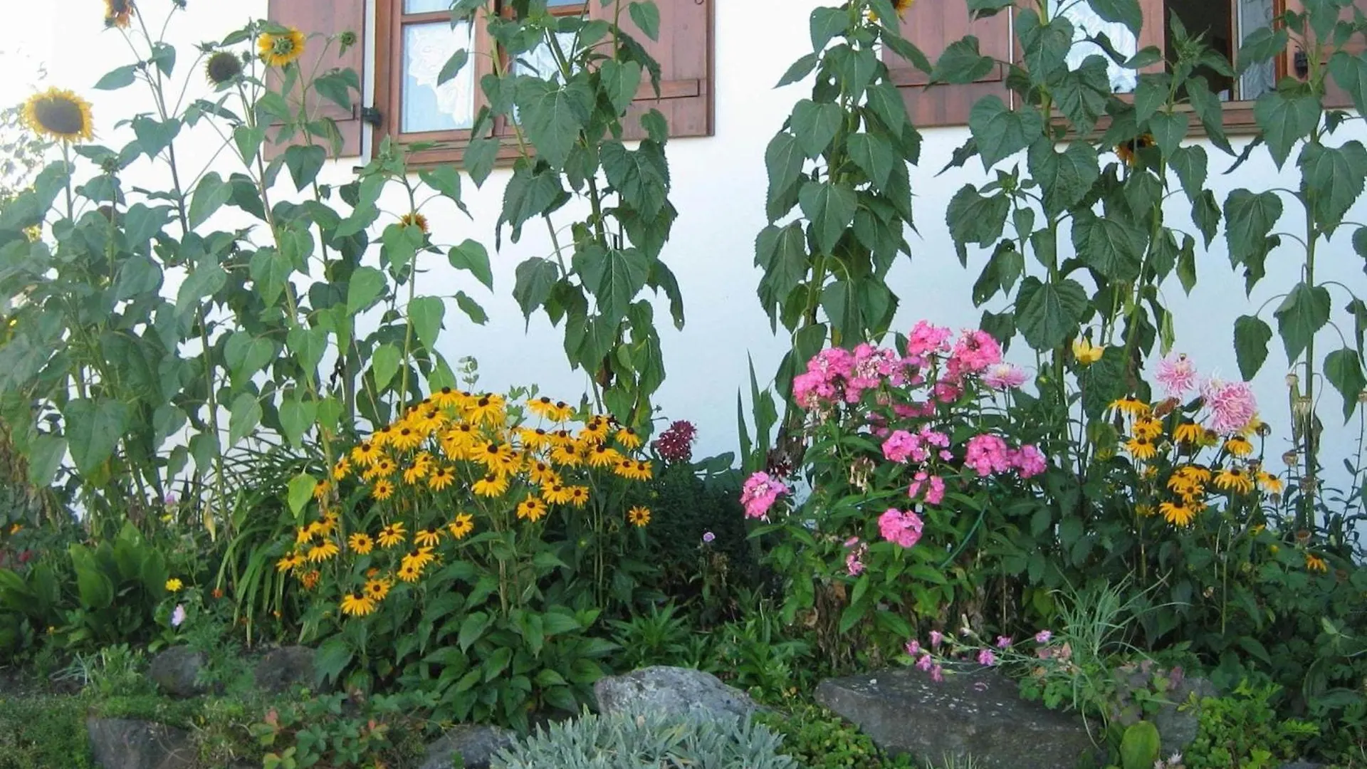 Apartment In The Allg U With View Of The Bavarian Alps 베른보이렌