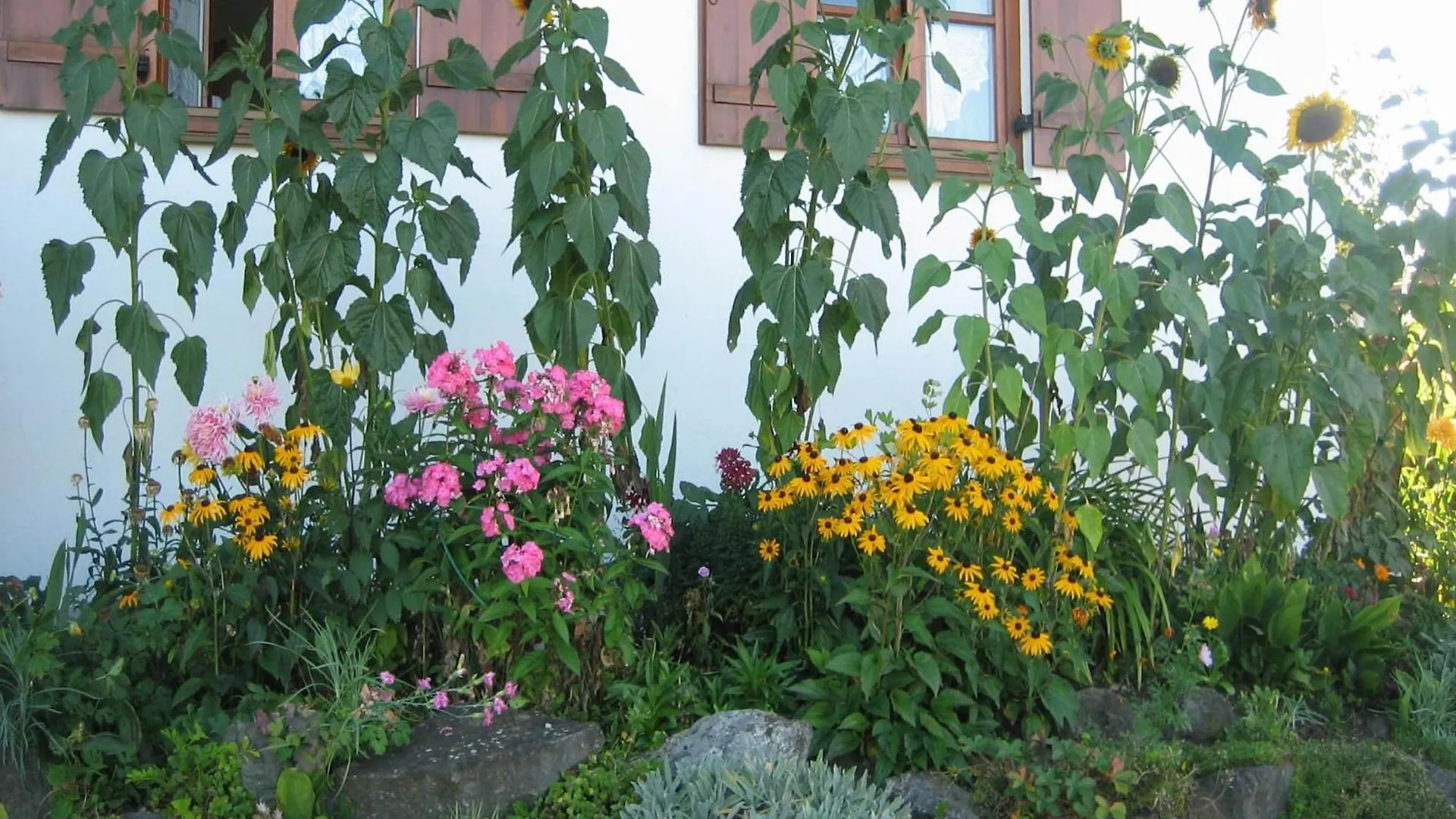 Apartment In The Allg U With View Of The Bavarian Alps 베른보이렌